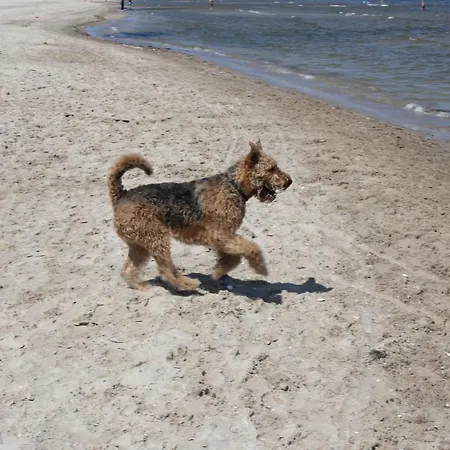 Hafenkiek 47 Mit 2 Baedern Und 2 Balkonen Karlshagen