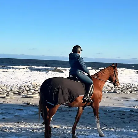 Hafenkiek 47 Mit 2 Baedern Und 2 Balkonen