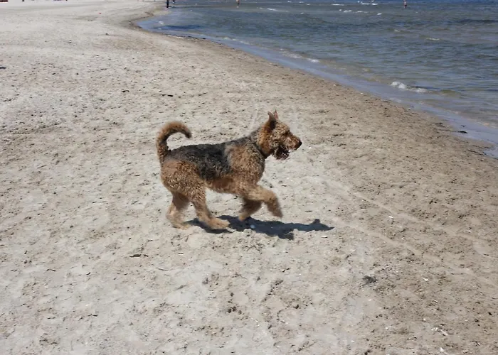 Hafenkiek 47 Mit 2 Baedern Und 2 Balkonen Karlshagen